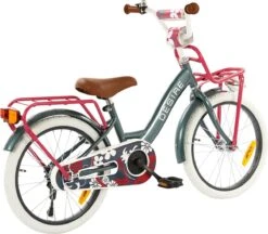 2Cycle Desire Kinderfiets - 18 Inch - Voordrager - Grijs - Meisjesfiets -Professionele Winkel Voor Fietsuitrusting 1200x1049 3