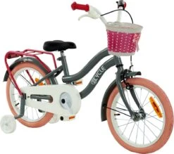 2Cycle Pretty Meisjesfiets - 16 Inch - Grijs-Roze - Meisjesfiets 11 2Cycle Pretty Meisjesfiets - 16 Inch - Grijs-Roze - Meisjesfiets -Professionele Winkel Voor Fietsuitrusting 1200x1062 1
