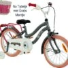 2Cycle Pretty Meisjesfiets - 16 Inch - Grijs-Roze - Meisjesfiets -Professionele Winkel Voor Fietsuitrusting 1200x1063