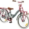 2Cycle Desire Kinderfiets - 20 Inch - Voordrager -Grijs-Roze - Meisjesfiets -Professionele Winkel Voor Fietsuitrusting 1200x1113