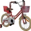 2Cycle Paris Meisjesfiets - 16 Inch - Roze-Wit - Met Poppenzitje - Meisjesfiets -Professionele Winkel Voor Fietsuitrusting 1200x1129