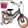 2Cycle Pretty Kinderfiets - 14 Inch - Grijs-Roze - Meisjesfiets -Professionele Winkel Voor Fietsuitrusting 1200x1159 2