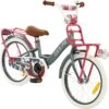 2Cycle Desire Kinderfiets - 18 Inch - Voordrager - Grijs - Meisjesfiets -Professionele Winkel Voor Fietsuitrusting 1200x1193