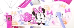 Disney Minnie Cutest Ever! Kinderfiets - Meisjes - 16 Inch - Roze -Professionele Winkel Voor Fietsuitrusting 1200x459