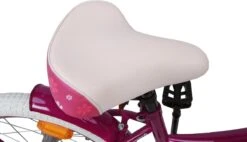 Amigo Flower Meisjesfiets - Kinderfiets 16 Inch - Paars -Professionele Winkel Voor Fietsuitrusting 1200x688