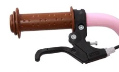 Amigo Sweetheart Meisjesfiets - Kinderfiets 16 Inch - Roze -Professionele Winkel Voor Fietsuitrusting 1200x724