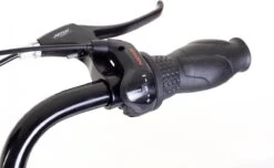 Amigo Bright - Damesfiets 28 Inch - Fiets Met 3 Versnellingen - Antraciet -Professionele Winkel Voor Fietsuitrusting 1200x739 2