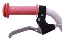 Amigo Superstar Meisjesfiets - Kinderfiets 20 Inch - Roze -Professionele Winkel Voor Fietsuitrusting 1200x777