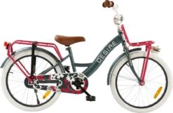 2Cycle Desire Kinderfiets - 20 Inch - Voordrager -Grijs-Roze - Meisjesfiets 11 2Cycle Desire Kinderfiets - 20 Inch - Voordrager -Grijs-Roze - Meisjesfiets -Professionele Winkel Voor Fietsuitrusting 1200x783 3