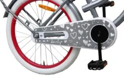 Amigo Lovely - Kinderfiets 20 Inch - Meisjes - Grijs -Professionele Winkel Voor Fietsuitrusting 1200x800 31