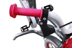 Amigo Lovely - Kinderfiets 20 Inch - Meisjes - Grijs -Professionele Winkel Voor Fietsuitrusting 1200x800 32
