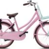 Valetta Cargo - Transportfiets - Meisjesfiets - 22 Inch - Mint Roze -Professionele Winkel Voor Fietsuitrusting 1200x801 1