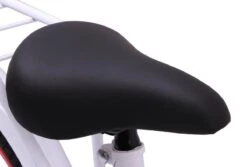 Amigo Sweetheart Meisjesfiets - Kinderfiets 20 Inch - Wit -Professionele Winkel Voor Fietsuitrusting 1200x813