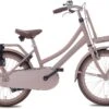 Valetta Cargo - Transportfiets - Meisjesfiets - 20 Inch - Mat Flamingo -Professionele Winkel Voor Fietsuitrusting 1200x821 1