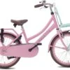 Valetta Cargo - Transportfiets - Meisjesfiets - 20 Inch - Mint Roze 1 Valetta Cargo - Transportfiets - Meisjesfiets - 20 Inch - Mint Roze -Professionele Winkel Voor Fietsuitrusting 1200x833 1