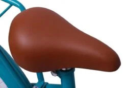Amigo Bloom Meisjesfiets - Kinderfiets 20 Inch - Turquoise -Professionele Winkel Voor Fietsuitrusting 1200x834 1