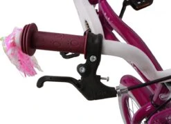 Amigo Flower Meisjesfiets - Kinderfiets 16 Inch - Paars -Professionele Winkel Voor Fietsuitrusting 1200x873 3