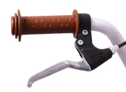 Amigo Bloom Meisjesfiets - Kinderfiets 20 Inch - Turquoise -Professionele Winkel Voor Fietsuitrusting 1200x876