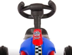 Paw Patrol Go Kart - Mini - Rood Blauw -Professionele Winkel Voor Fietsuitrusting 1200x916