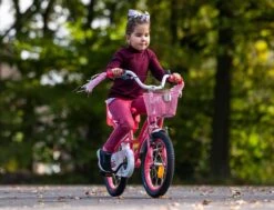 Amigo Magic Meisjesfiets - Kinderfiets 12 Inch - Wit -Professionele Winkel Voor Fietsuitrusting 1200x917 20