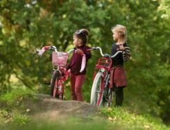 Amigo Bloom Meisjesfiets - Kinderfiets 20 Inch - Turquoise -Professionele Winkel Voor Fietsuitrusting 1200x917 45