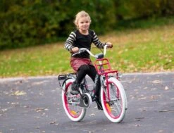 Amigo Bloom Meisjesfiets - Kinderfiets 20 Inch - Turquoise -Professionele Winkel Voor Fietsuitrusting 1200x917 46