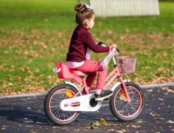 Amigo Magic Meisjesfiets - Kinderfiets 12 Inch - Roze -Professionele Winkel Voor Fietsuitrusting 1200x917 66