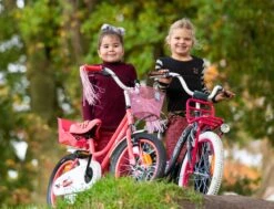 Amigo Magic Meisjesfiets - Kinderfiets 12 Inch - Roze -Professionele Winkel Voor Fietsuitrusting 1200x917 68