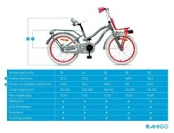 Amigo Lovely - Kinderfiets 20 Inch - Meisjes - Grijs -Professionele Winkel Voor Fietsuitrusting 1200x920 12