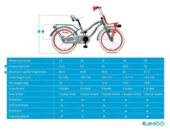Amigo Lovely - Kinderfiets 20 Inch - Meisjes - Grijs -Professionele Winkel Voor Fietsuitrusting 1200x920 15