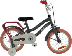 2Cycle Pretty Kinderfiets - 14 Inch - Grijs-Roze - Meisjesfiets -Professionele Winkel Voor Fietsuitrusting 1200x931